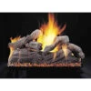 Rasmussen 18" Manzanita Double Face Natural Gas Log Set, Match Light -BBQ Haven Shop 2233978797 81861.1477007572.1500.1500