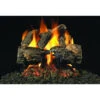Real Fyre 18" Charred Oak Gas Logs With G4 Burner, NG 1 Real Fyre 18" Charred Oak Gas Logs With G4 Burner, NG -BBQ Haven Shop 621143701 44776.1477035037.1500.1500