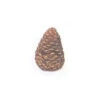 Pine Cone 4-in Medium, Rasmussen 2 Pine Cone 4-in Medium, Rasmussen -BBQ Haven Shop 7077418 84624.1477010761.1500.1500
