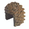 Real Fyre Pine Cone Dectorative Remote Cover -BBQ Haven Shop pcdc 1 11470.1477035534.1500.1500