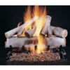 Rasmussen 30" Birch Double Face Gas Logs Only -BBQ Haven Shop white birch 08537.1477037681.1500.1500