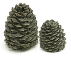 Set Of 2 Decorative Charred Pine Cones