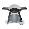 Weber Q Series 3200 Grill | 57060001 -BBQ Haven Shop yhst 87469101818510 2155 62499480 94781.1477005045.1500.1500